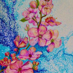 Apple Blossom